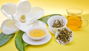 Metabolizmayı Hızlandıran Isırgan Çayı